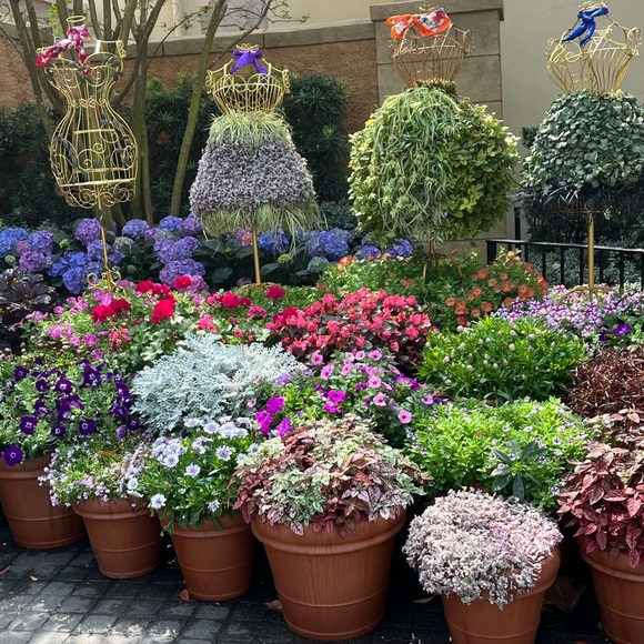 Meet your Posher, Deborah - Picture 8 of 9